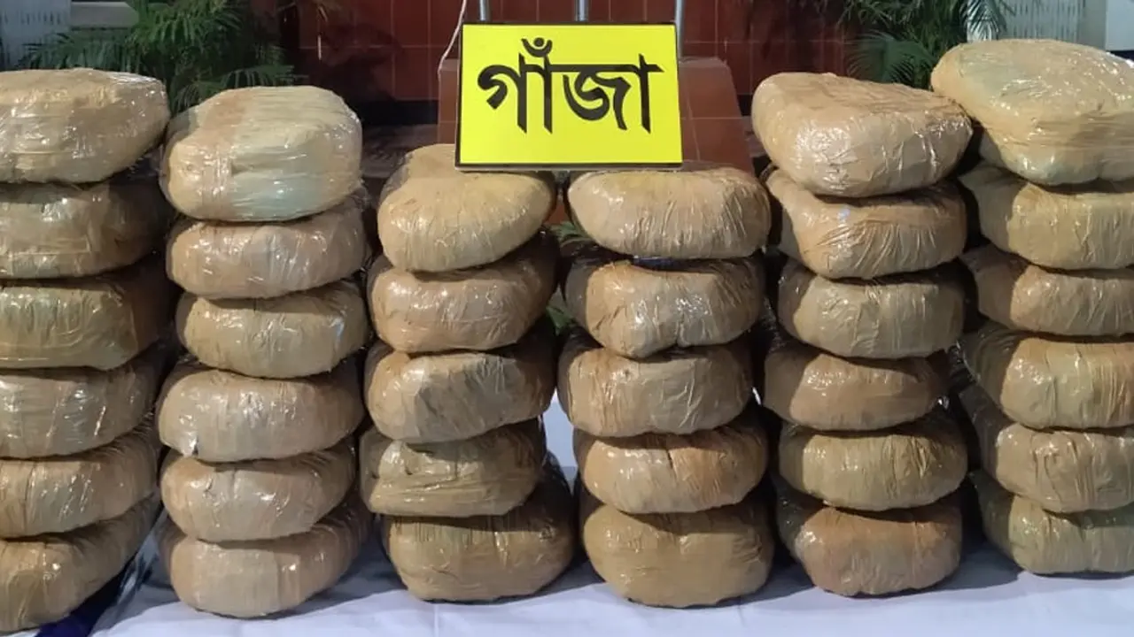 কদমতলীতে ৯৬ কেজি গাঁজাসহ মাদক ব্যবসায়ী গ্রেফতার