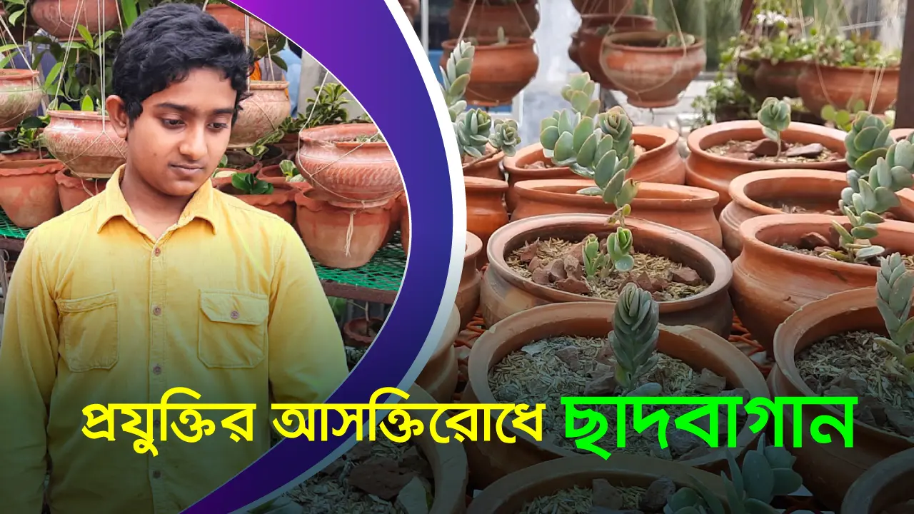 ছেলের প্রযুক্তি আসক্তিরোধে ছাদবাগান করলেন বাবা