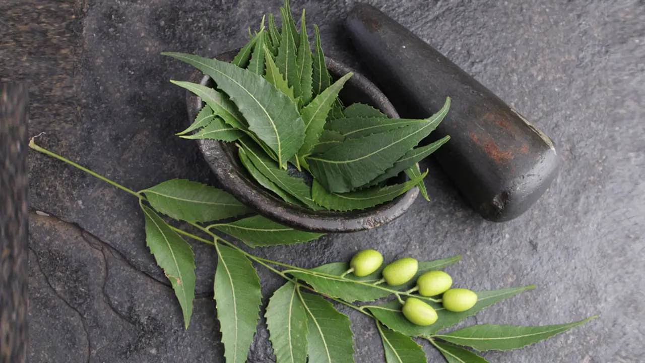 ত্বকের যত্নে নিমপাতার ব্যবহার