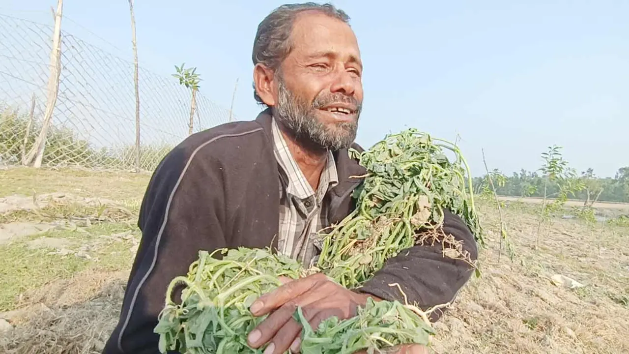 ১০ হাজার তরমুজ গাছ উপড়ে ফেললেন পাউবোর কর্মকর্তা