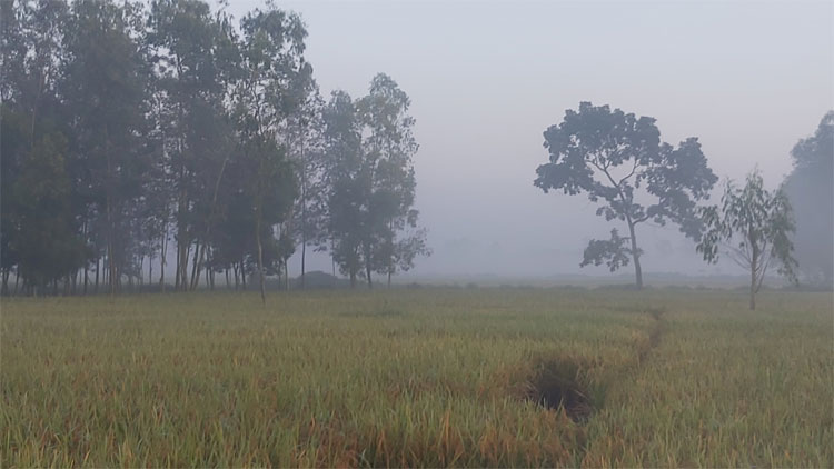 Dhaka Post