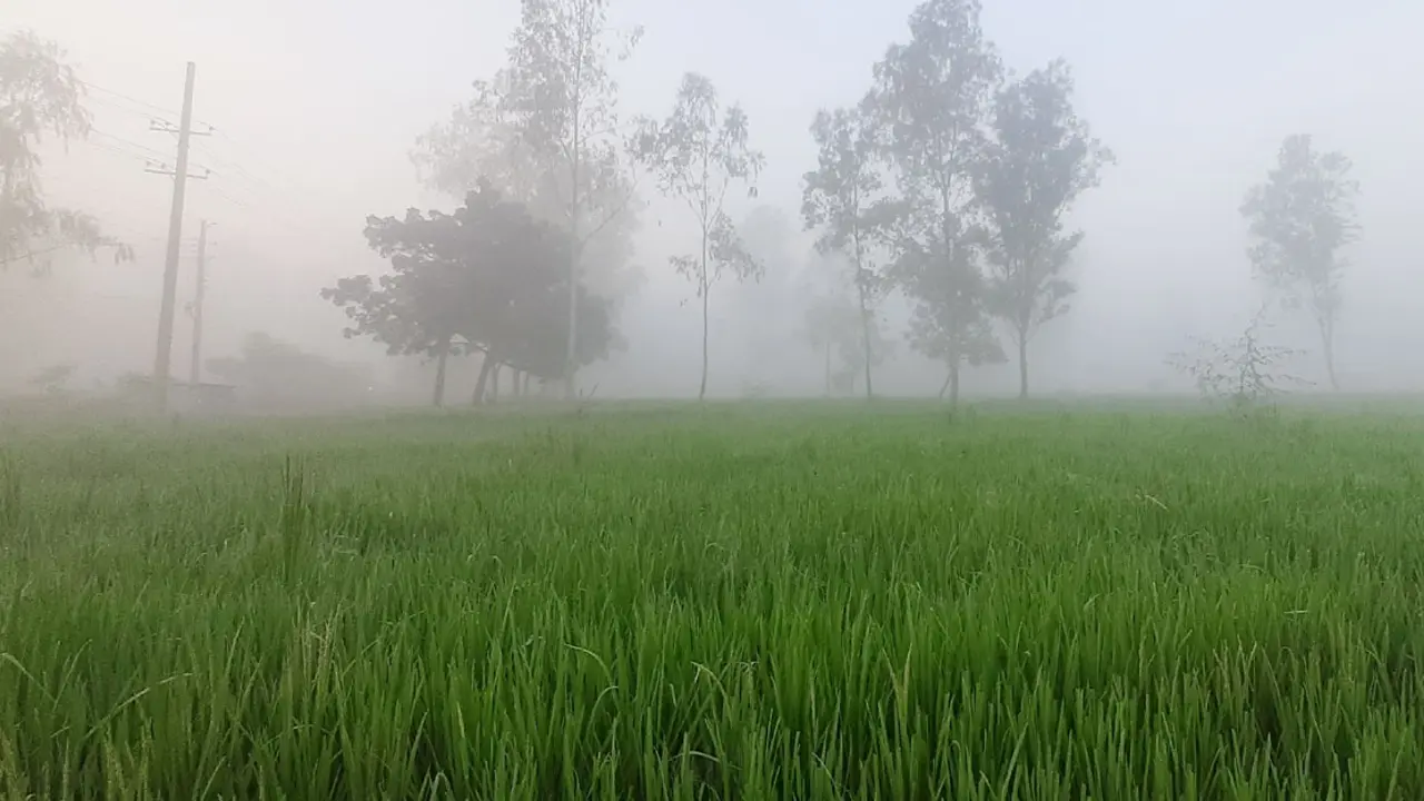 পঞ্চগড়ে ১১ দিন ধরে সর্বনিম্ন তাপমাত্রা, দিনে গরম রাতে ঠান্ডা