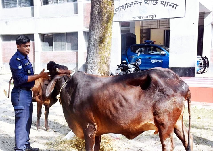 Dhaka Post