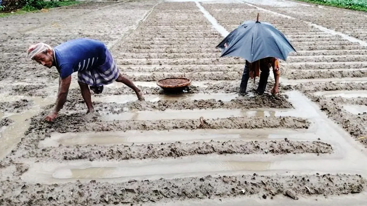 ঠাকুরগাঁওয়ে পানির নিচে কৃষকের স্বপ্ন
