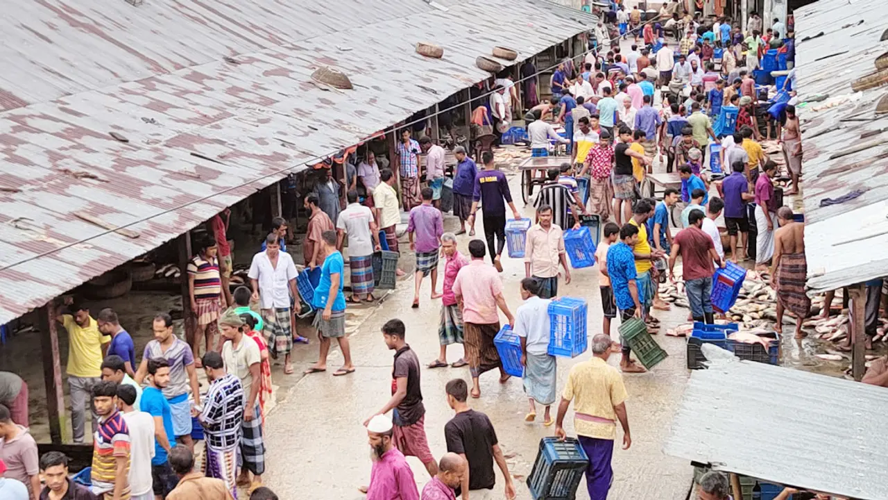 যে বাজারে প্রতিদিন বিক্রি হয় ৩ হাজার মণ মাছ