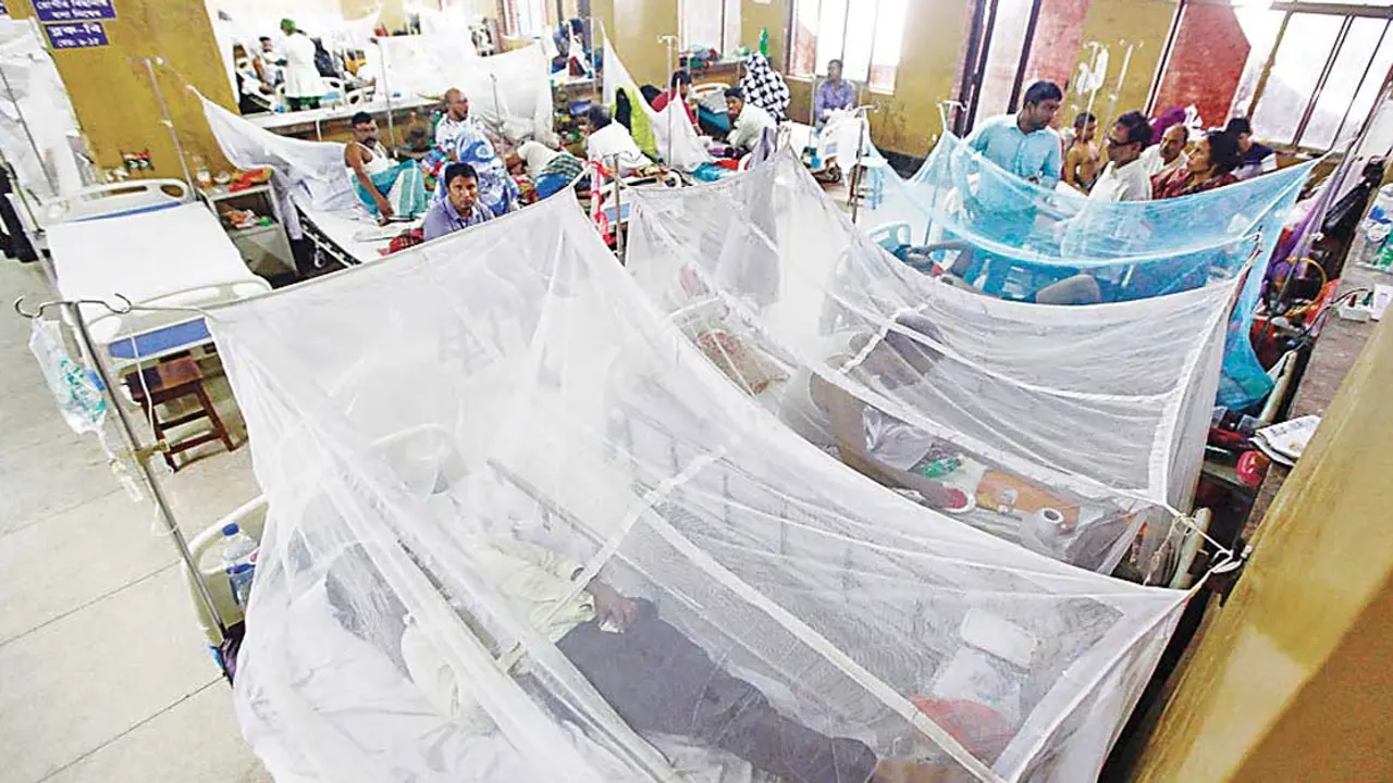 আরও ২৭৫ জন ডেঙ্গু রোগী হাসপাতালে ভর্তি