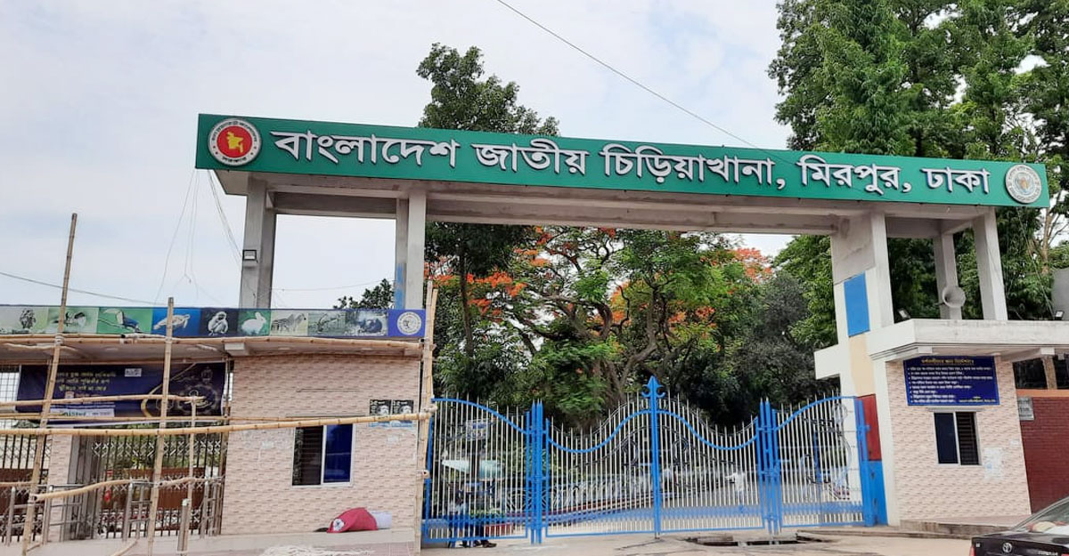 সৌন্দর্য বাড়িয়ে প্রস্তুত জাতীয় চিড়িয়াখানা