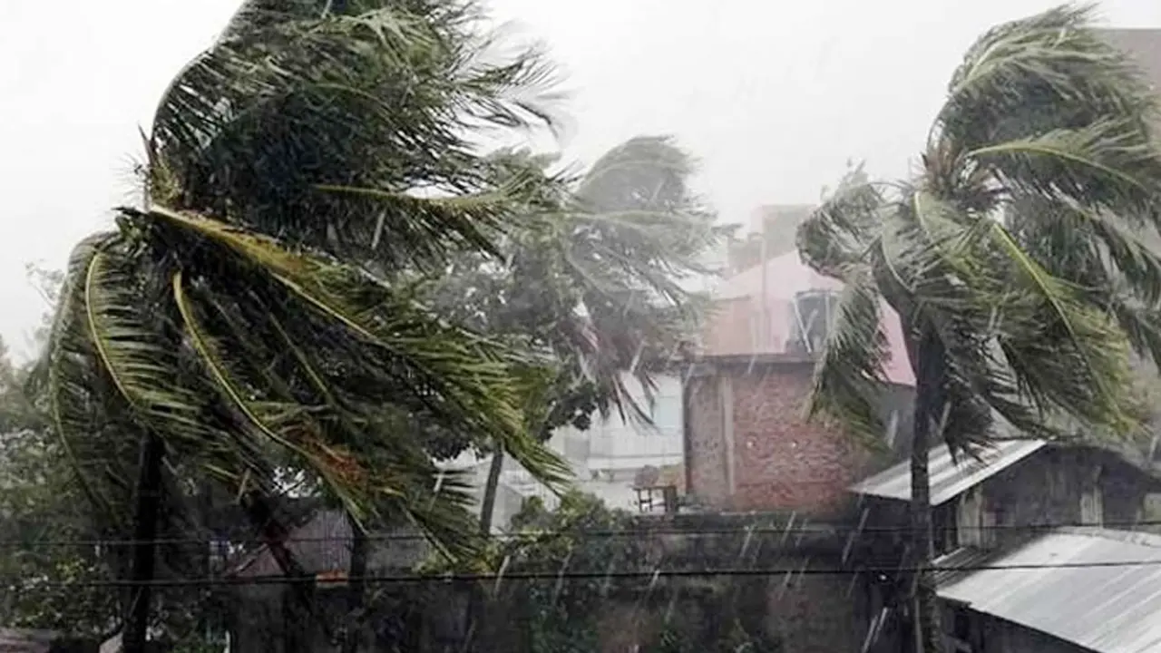 ১০ মিনিটের কালবৈশাখীতে শ্বশুর-পুত্রবধূর মৃত্যু
