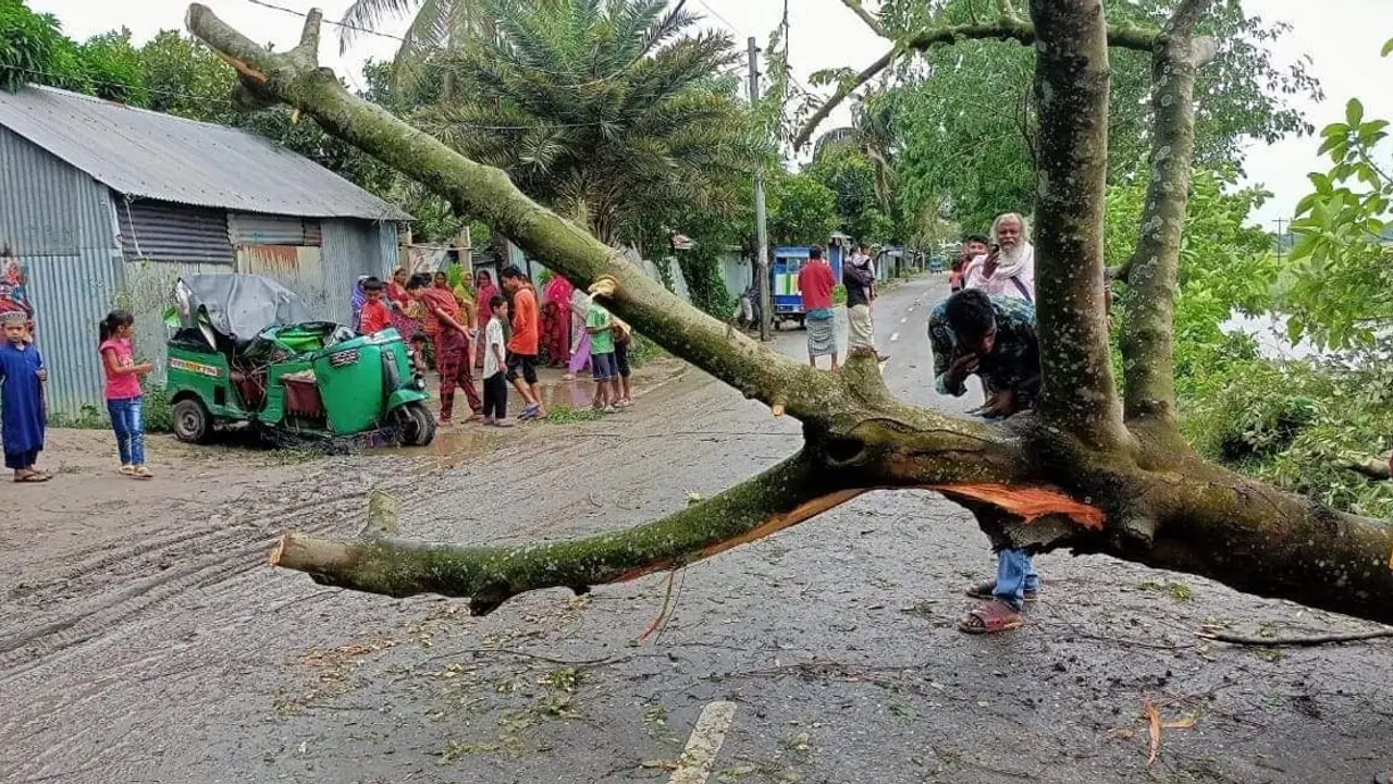 ঝড়ে অটোরিকশার ওপর গাছ পড়ে নিহত ১, আহত ৪