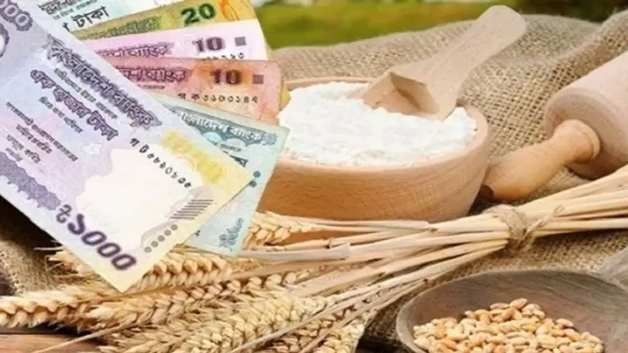 টাকা দিয়ে কি ফিতরা আদায় করা যাবে?