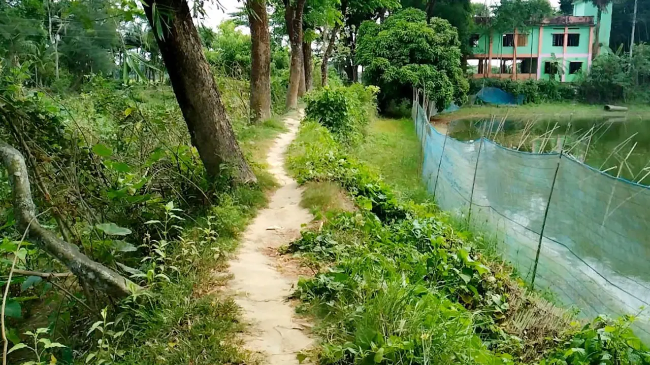 স্কুলে যাওয়ার একমাত্র সড়কটির বেহাল দশা, কমছে শিক্ষার্থী