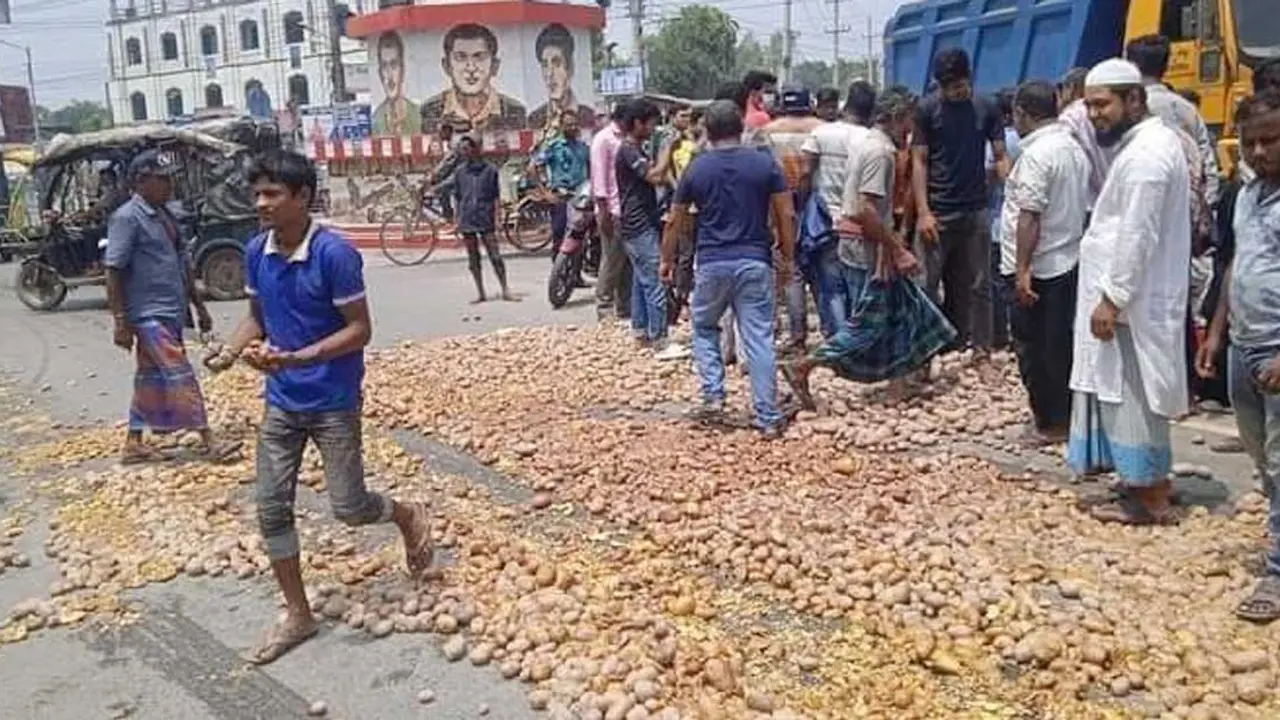 লোকসানের মুখে চাষিরা, সড়কে আলু ফেলে প্রতিবাদ