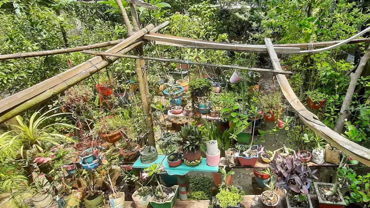 মালয়েশিয়াফেরত নাহিদ এখন ভালো আছেন