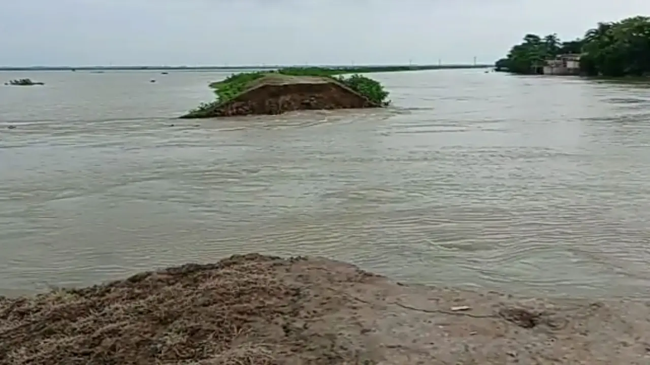 বাঁধ ভেঙে হাওরে ঢুকছে পানি, ৩০০ হেক্টর ধান তলিয়ে যাওয়ার শঙ্কা