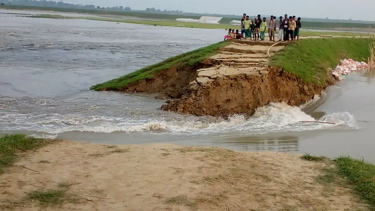 বাঁধ ভেঙে পানি ঢুকছে জামালগঞ্জের হালির হাওরে