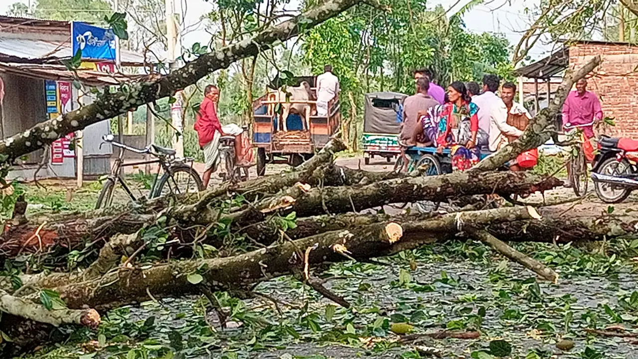 ঠাকুরগাঁওয়ে শিলাবৃষ্টিতে ফসলের ব্যাপক ক্ষতি, নারী আহত