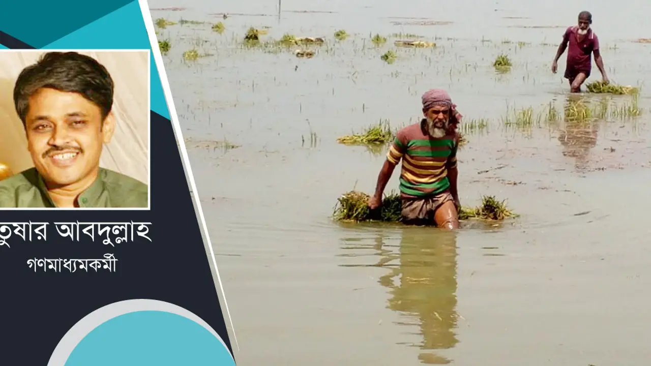 হাওরের কৃষক : ডোবে ঋণে, সুদে