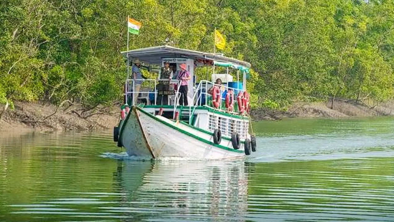 বৃহস্পতিবার সকালে উন্মুক্ত হচ্ছে সুন্দরবন