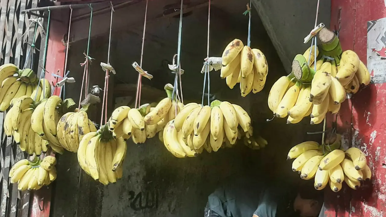 একটি কলার দাম ১৫ টাকা