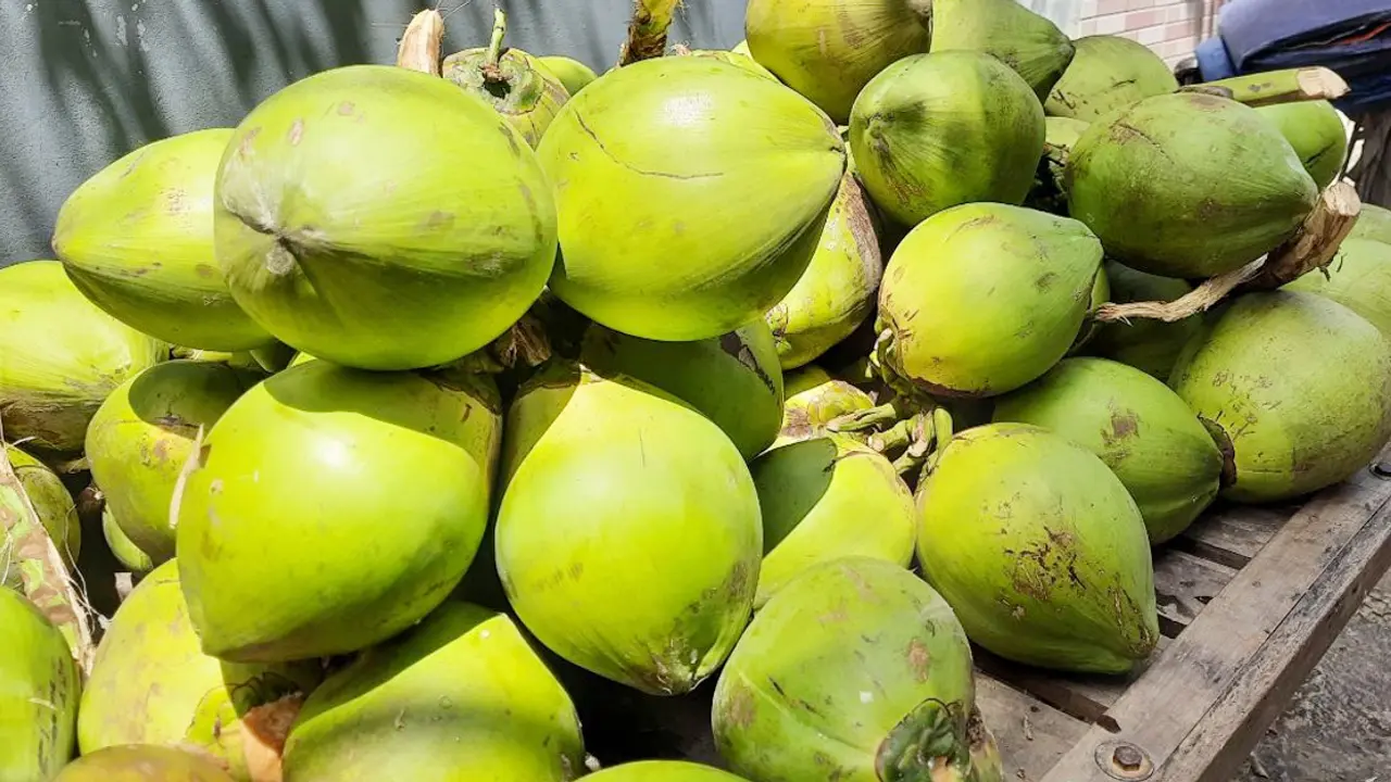 এক ডাব ১৫০!