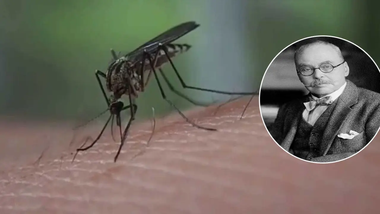 মশার পেট কেটে মিলল জীবাণু, যেভাবে আবিষ্কার হলো ম্যালেরিয়া