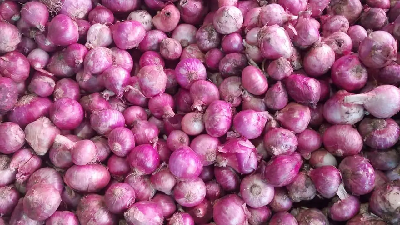 হিলিতে পেঁয়াজের কেজি ২২ টাকা