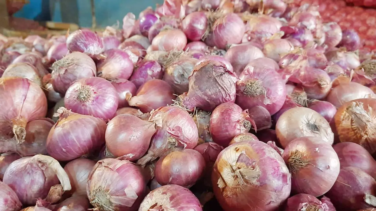 হিলিতে পেঁয়াজের কেজি ১৬ টাকা