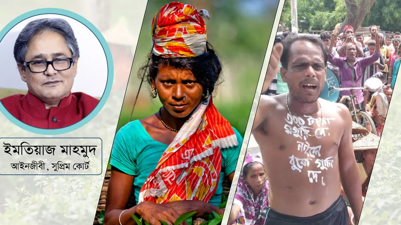 চা শ্রমিক : যে জীবন দাসত্বের!