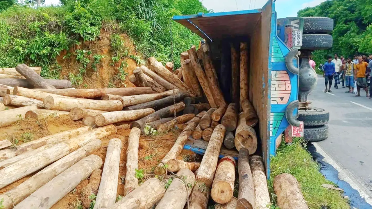 কাঠবোঝাই ট্রাক উল্টে প্রাণ গেল ২ জনের, আহত ৮
