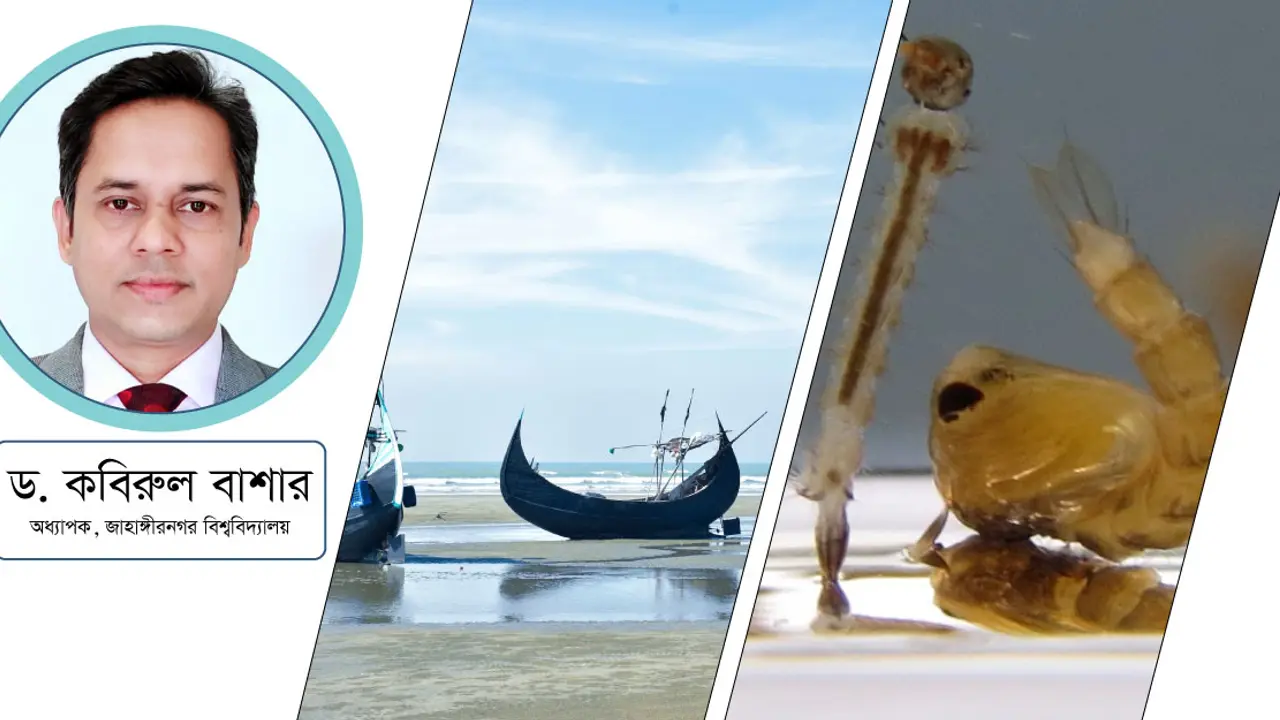 ডেঙ্গুর নতুন হটস্পট : এইবারও কি ব্যর্থ হব?