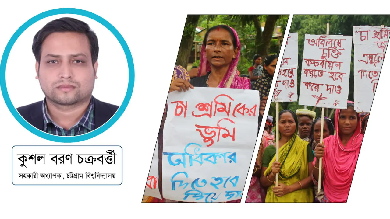 চা শ্রমিক : জন্মই যার আজন্ম পাপ!