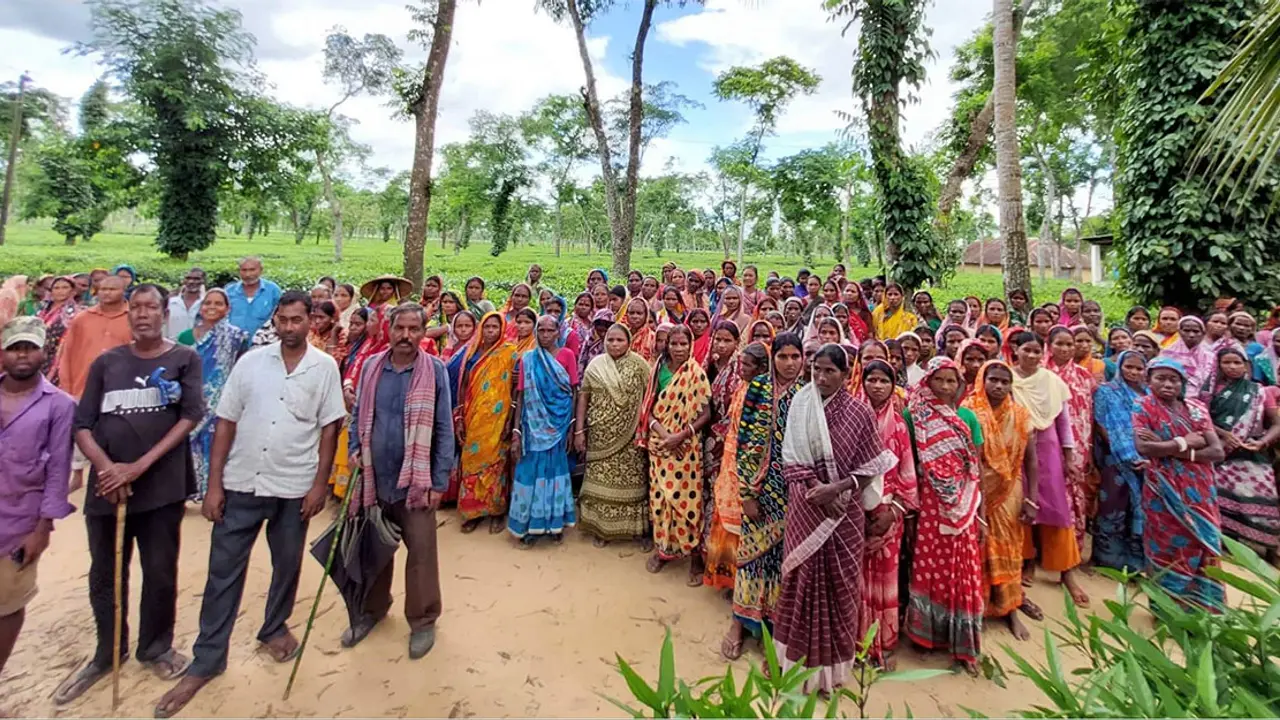 চা-শ্রমিক ইউনিয়নের সহ-সভাপতিকে শ্রমিকদের মারধর