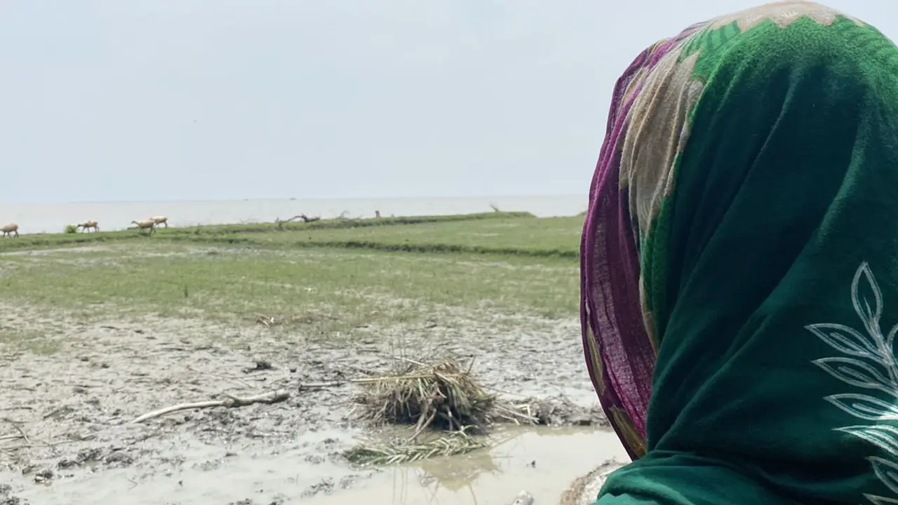সব হারিয়ে আজ আমি পাগল হয়ে গেছি