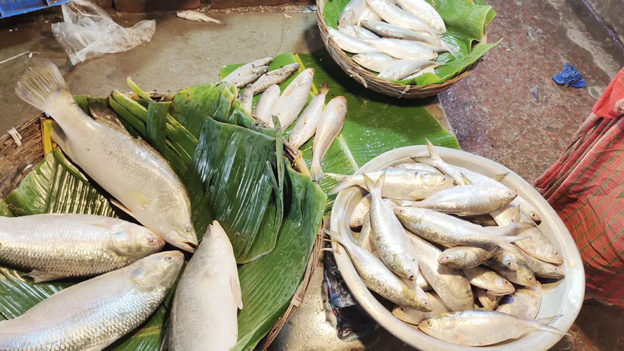 বাজারে ইলিশ কম, দাম বেশি