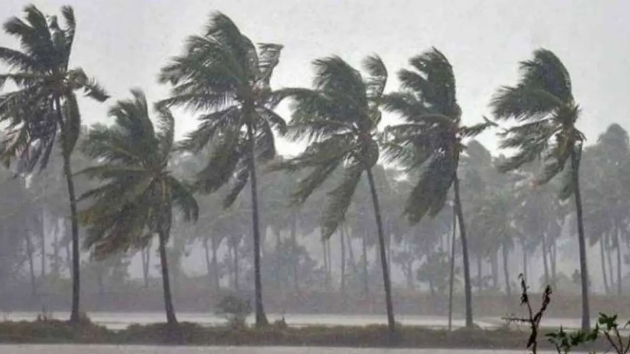সাগরের নিম্নচাপে দক্ষিণাঞ্চলে ভারী বৃষ্টির আশঙ্কা