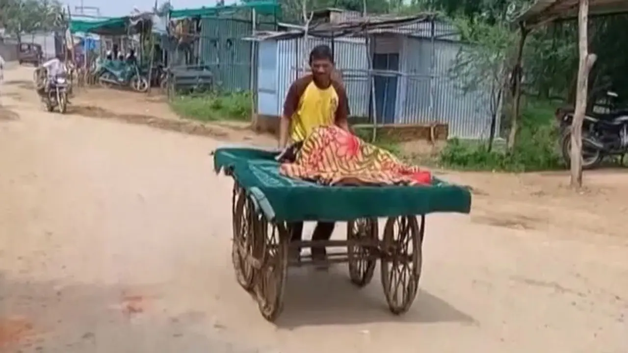 অন্তঃসত্ত্বা স্ত্রীকে ঠেলা গাড়িতে করে হাসপাতালে নিলেন স্বামী