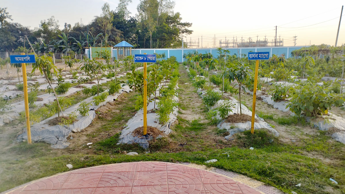 dhakapost