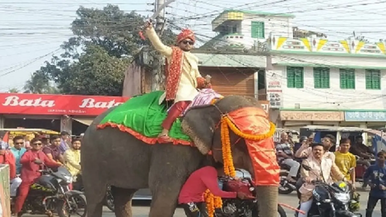 ঝিনাইদহে হাতির পিঠে চড়ে যুবকের বিয়ে