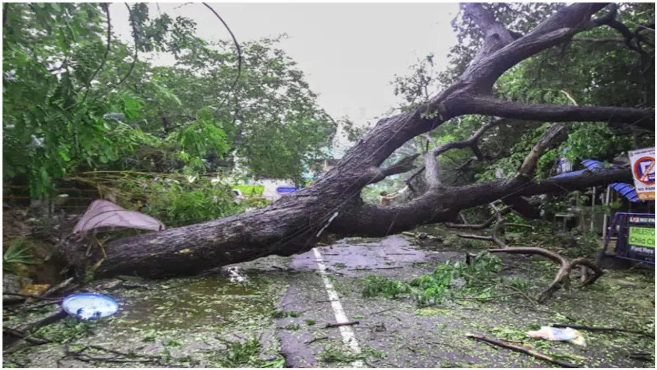 ঘূর্ণিঝড় মানদৌসের আঘাতে তামিলনাড়ুতে নিহত ৪