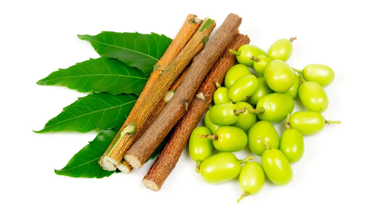 নিমের ডাল দিয়ে দাঁত মাজার যত উপকারিতা