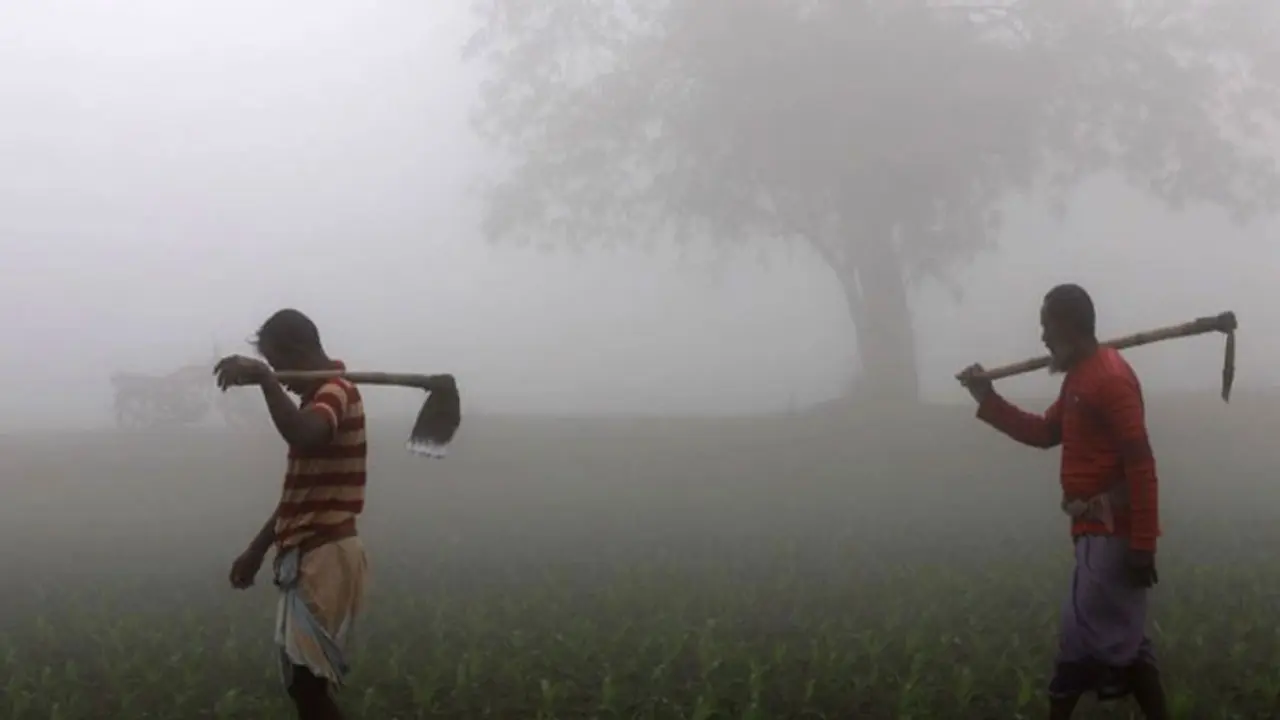 নড়ছে না লঘুচাপ ঘন কুয়াশার আভাস