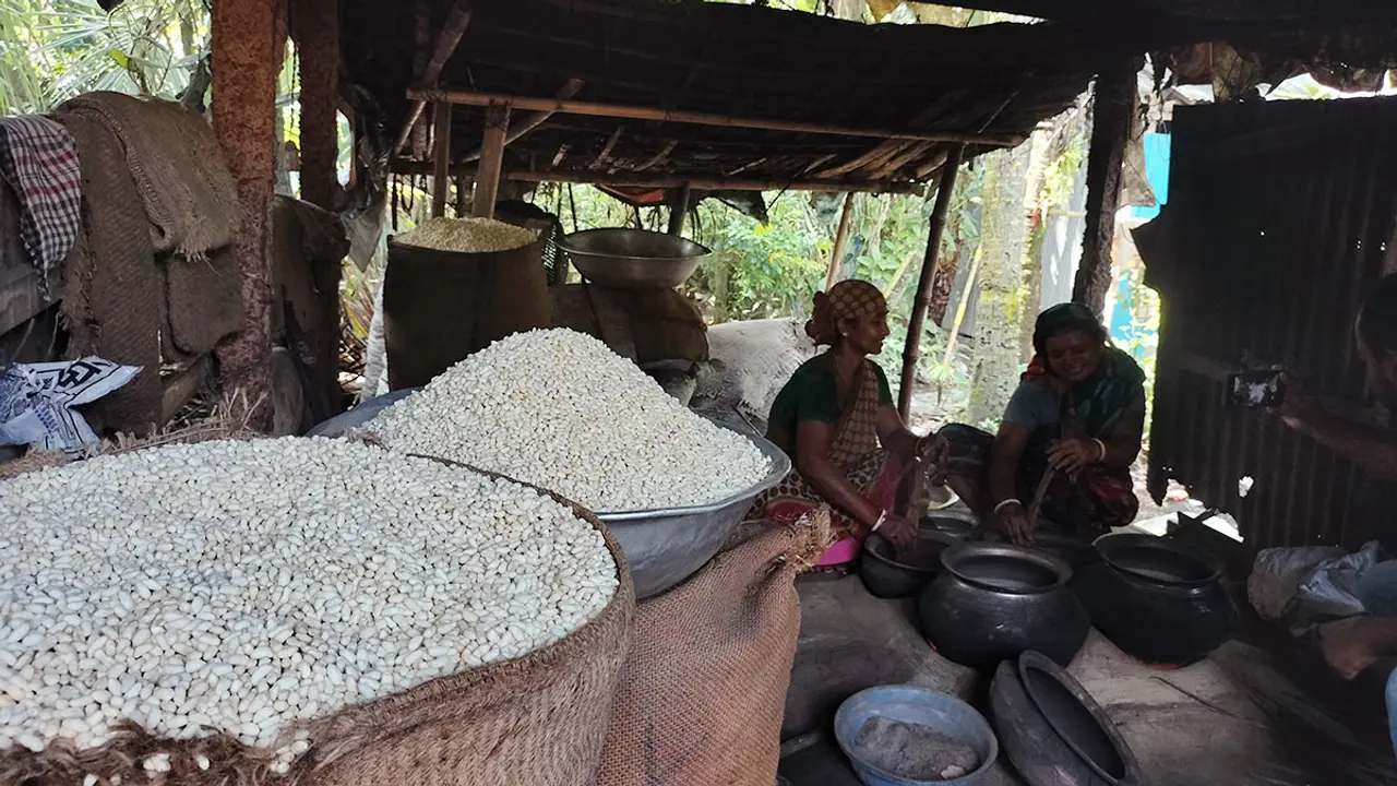 লক্ষ্মীপুরে হাতে ভাজা গিগজ মুড়িতে ৮ কোটি টাকা লেনদেন