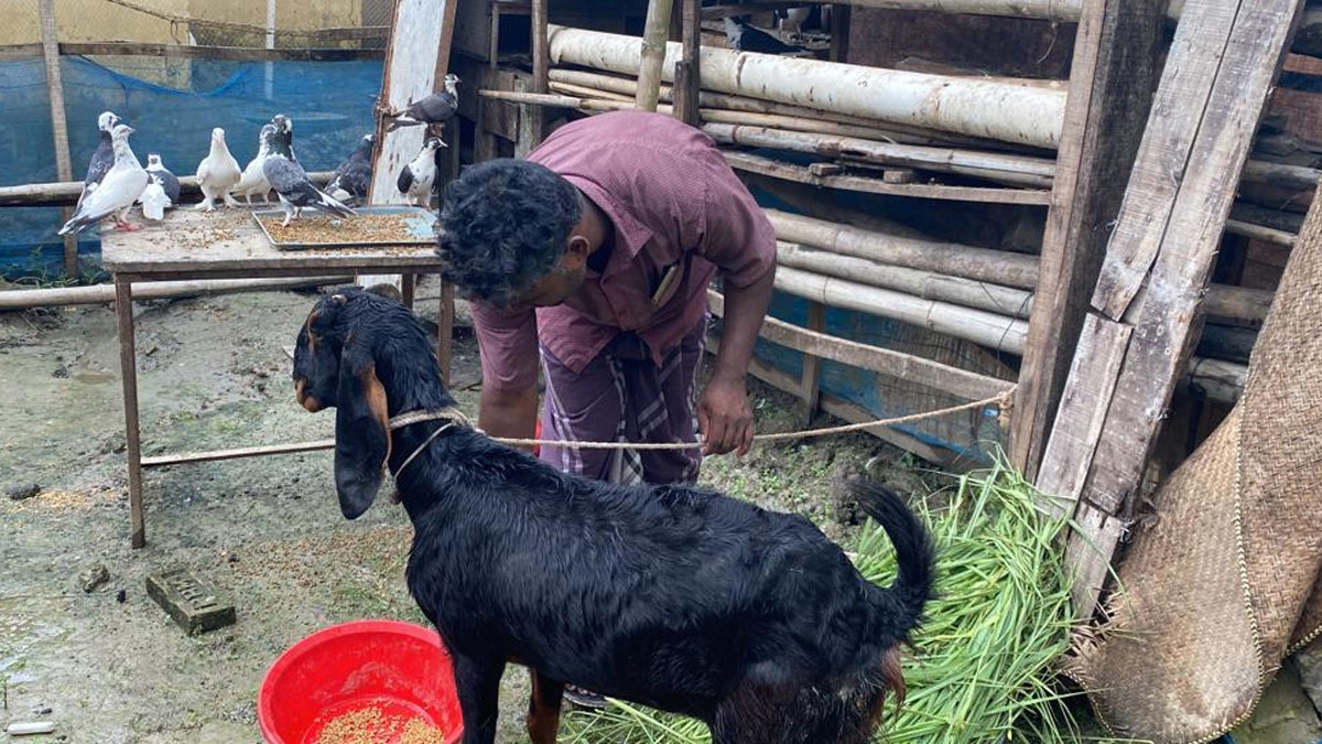 Dhaka post