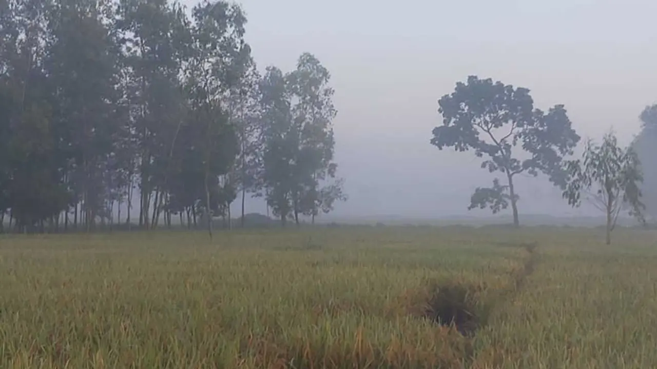 তেঁতুলিয়ায় সর্বনিম্ন তাপমাত্রা ১১.৯ ডিগ্রি