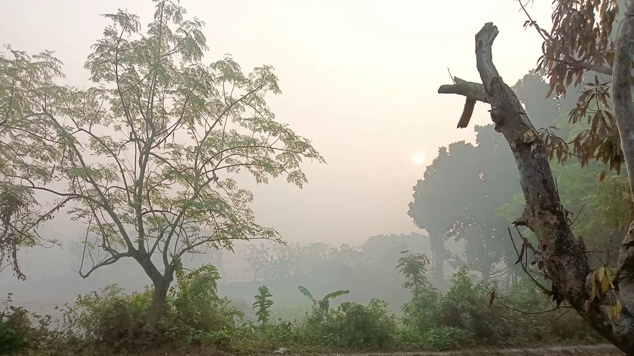 রাজশাহীতে কুয়াশা কমলে বাড়বে শীত
