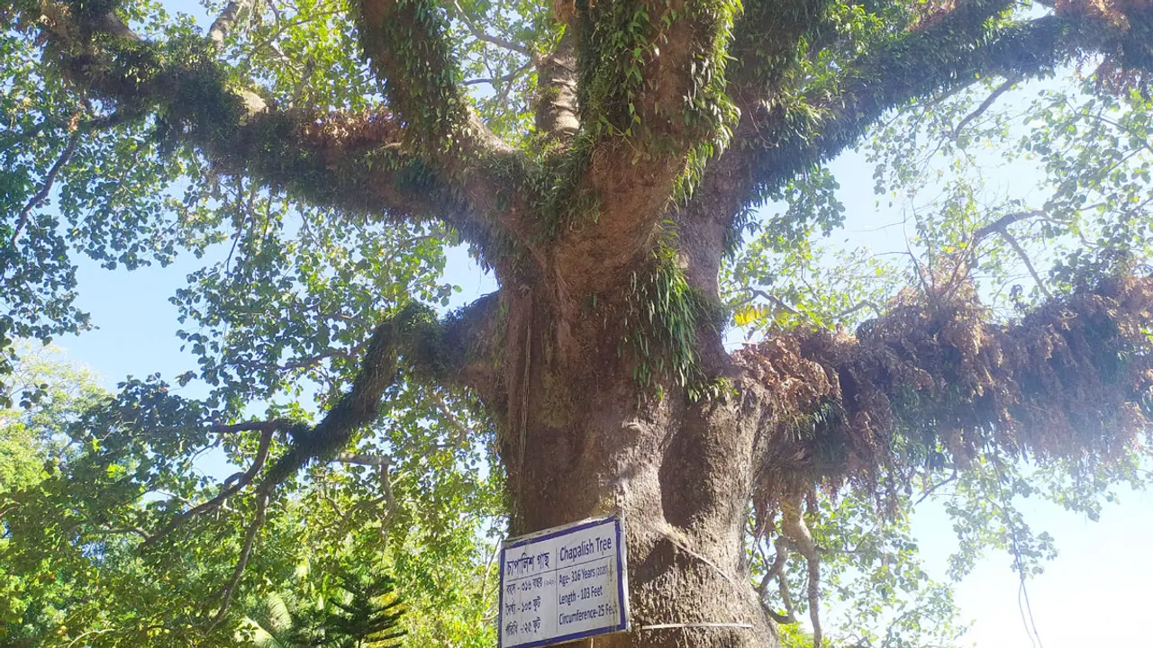 রাঙ্গামাটির ইতিহাসের সাক্ষী ৩১৮ বছরের পুরোনো চাপালিশ