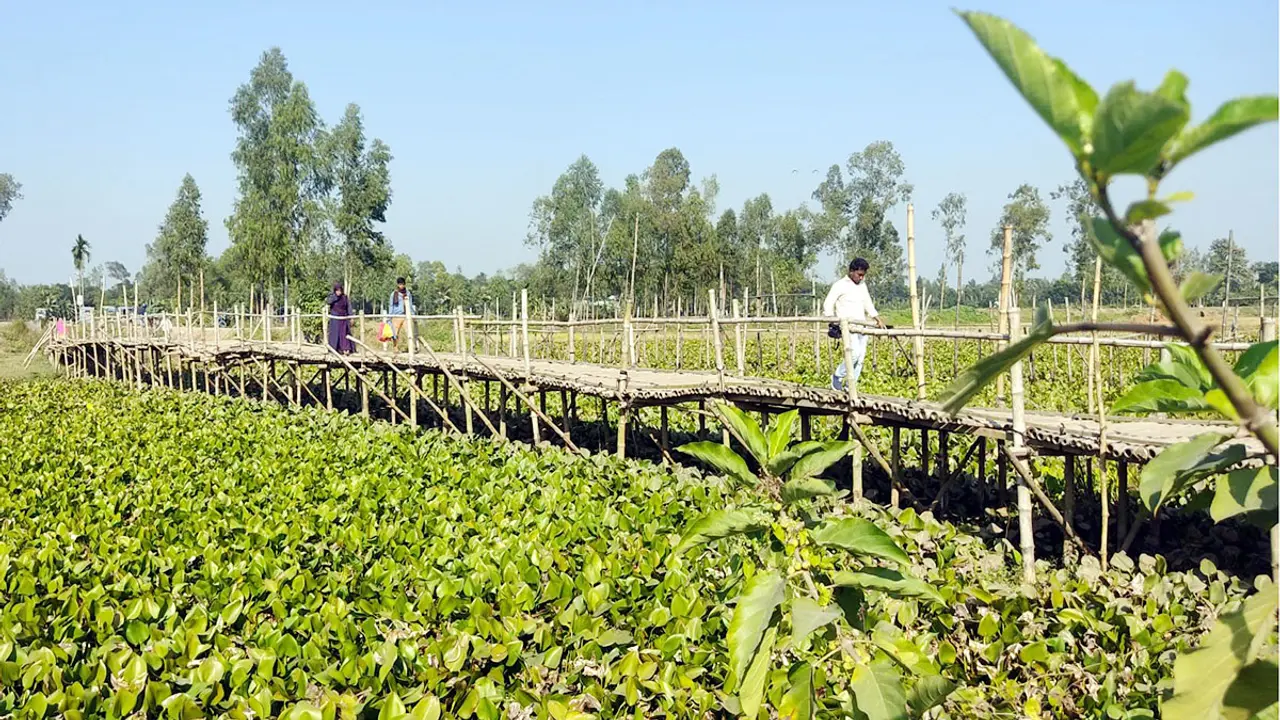 ব্রিজ না থাকায় বন্ধন বাড়ছে না চার উপজেলার মানুষের