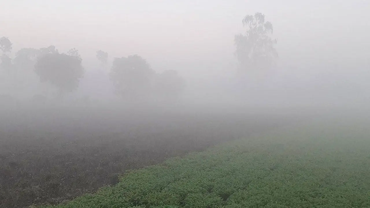 পঞ্চগড়ে দিন-রাতের তাপমাত্রা কমেছে, বেড়েছে ঠান্ডাজনিত রোগ