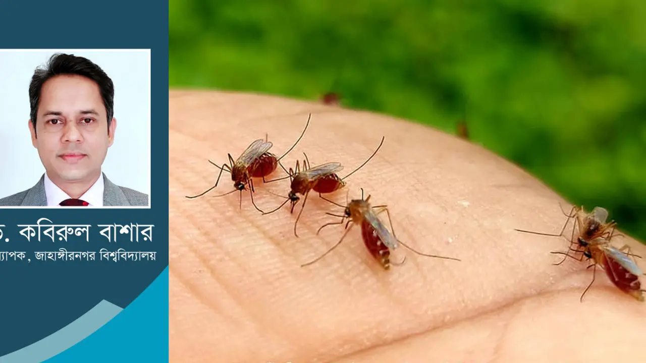 মশার উৎপাত : রোগ বিস্তারের আশঙ্কা কতখানি?