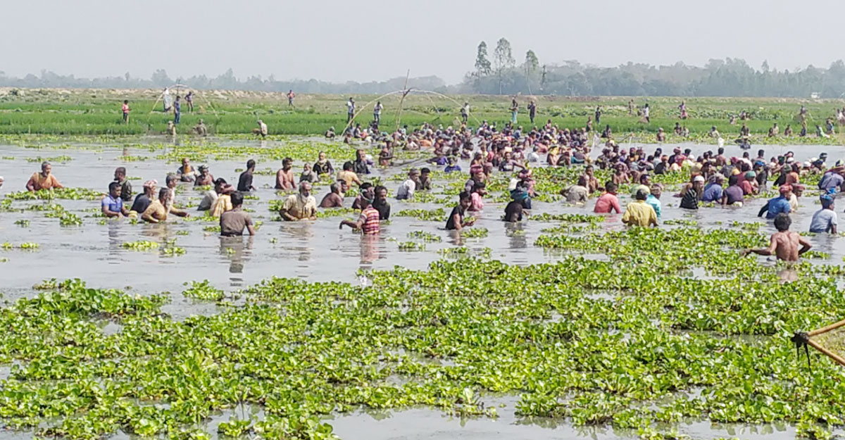 Dhaka Post